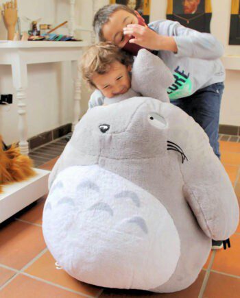 Totoro Dormilón Gigante