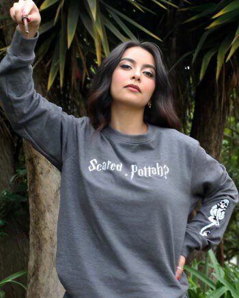 Buso HARRY POTTER - Scared Pottah? *Bordado