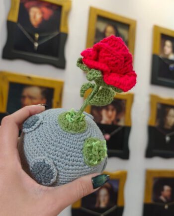 ROSA en el planeta e EL PRINCIPITO en crochet