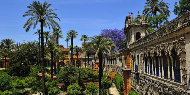 Spain, Andalusia, Seville, Real Alcazar listed as World Heritage by UNESCO, gardens and gallery of the grotesque Alcazar of Seville Andalusia Architecture Building Color Image Day Europe Flower Garden Heritage Horizontal No People Outdoors Palace palm tree Park Photography Sevilla sightseeing Spain Tree UNESCO World Heritage Site Vegetation