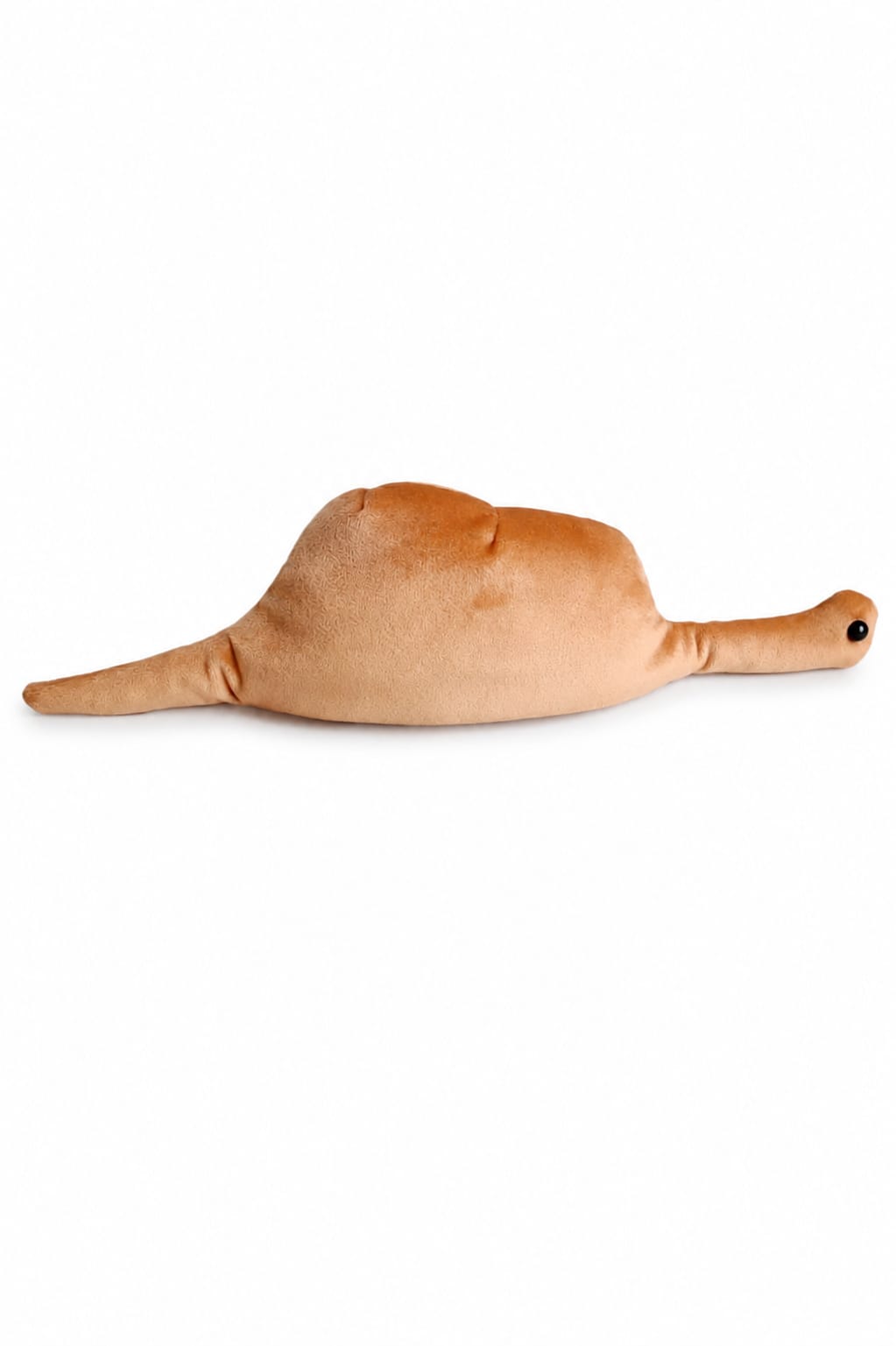 *Boa de El Principito