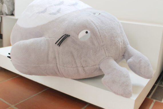 Totoro Dormilón Gigante