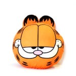 Cojin Garfield