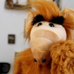 *ALF