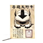 Agenda AVATAR la leyenda de Aang - SE BUSCA