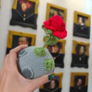 ROSA en el planeta e EL PRINCIPITO en crochet