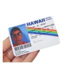Carnet Licencia Mclovin
