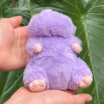 BO Ratoncito mini