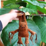 Peluche Mandragora con matera