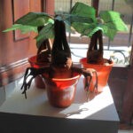 Peluche Mandragora con matera