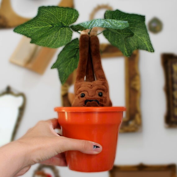 Peluche Mandragora con matera