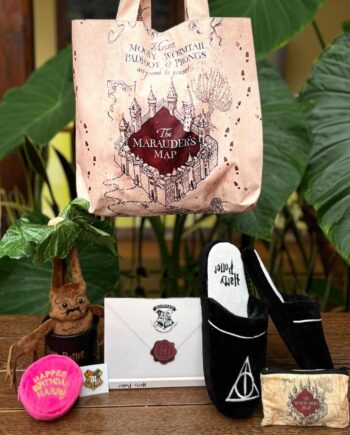 COMBO HARRY POTTER x7 productos