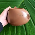 Taza Capibara