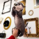 NUTRIA