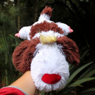 IMG_2548-fotor-2024031822640