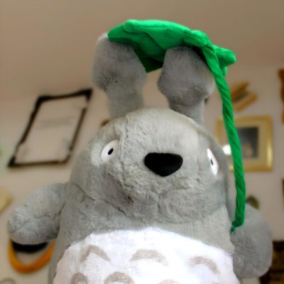 IMG_4771-fotor-20240904135537