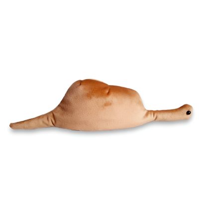 V-fotor-20230806165210